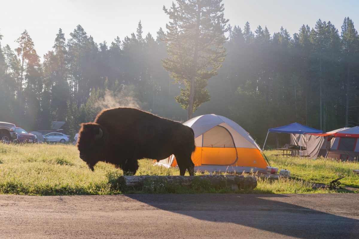 Add Yellowstone To Your Camping Destinations